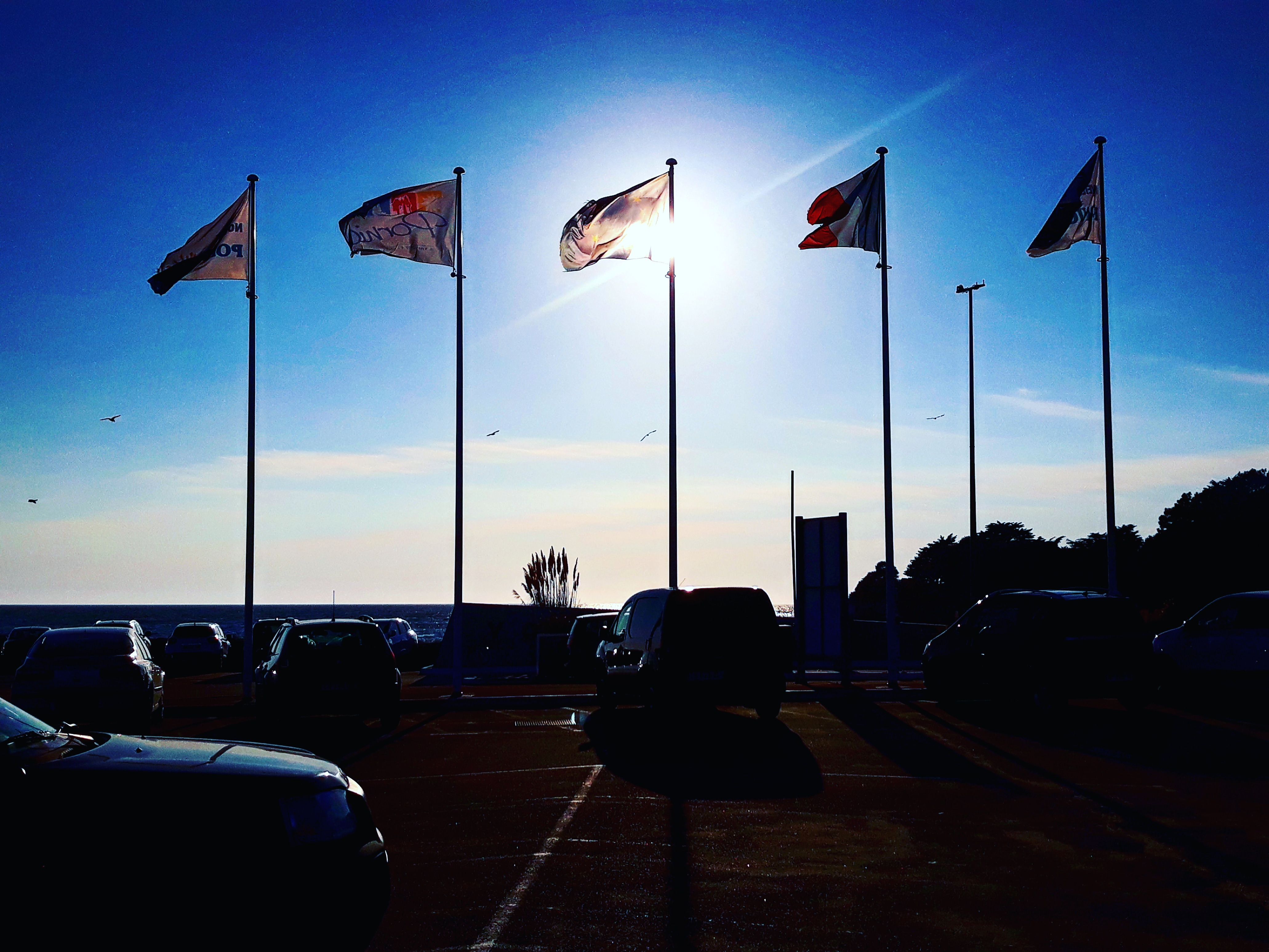 Here is one of my finest Work.